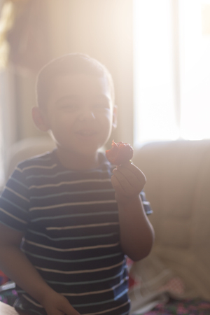 A little boy eating strawberries. Summer food. A young kid eats a yummy strawberry in hot summer day.の写真素材