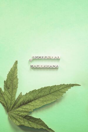 commercial marijuana text with cannabis leaves. Cannabis business. Marijuana Legalization concept.の写真素材