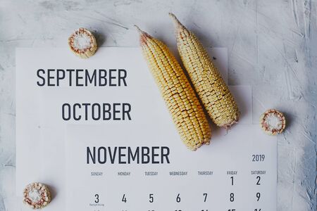 Autumn Months, Fall season concept. Harvest time. Three monthly calendars of September, October and November. Top view to calendars and raw corns.の写真素材