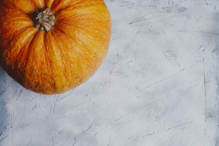 A big orange pumpkin in the corner. Halloween, Thanksgiving, Harvest and Autumn concept image for background usage with big copy space for text.の写真素材