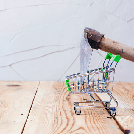 Unhappy customer. Bad shopping experience or Financial crisis concept. A shopping cart and axの写真素材