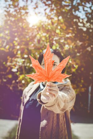 Fall season concept. A beautiful middle-eastern woman holds a yellow autumn leaf. Young female hiding her face with fall leaves. Autumn or fall woman. Sunny autumn weather at outdoors.の写真素材