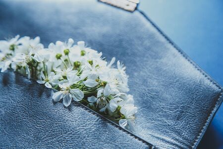 Cherry Blossom flowers in clutch purse . Beautiful Spring tree blossoms in leather handbagの写真素材