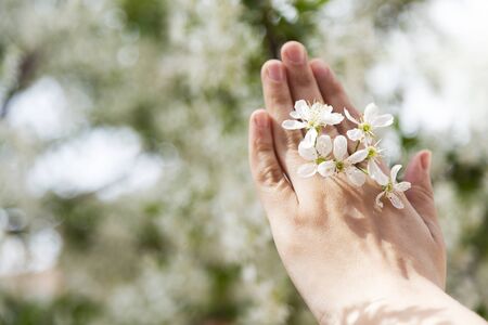 Girl touches flowering branch with hand. Spring bloom of sensuality. Touch the delicacy of nature. Tender girl's hand.の写真素材