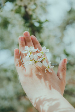 Female with spring flower ring. Lovely wedding ring in female hand made from tree blossom