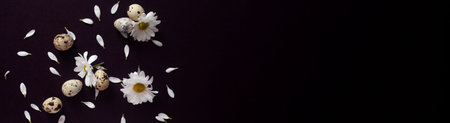 Happy Easter concept. White easter eggs with flower petals lay on the dark background. Easter...