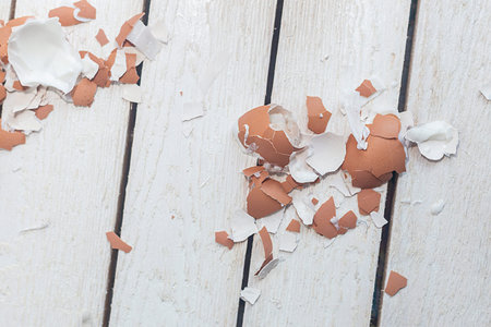 Brown egg shells on wood. Egg shell after cleaning.