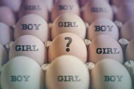 Female hand points to egg. Woman pointing to Question mark. Choose baby gender. Choosing the sex of child. Gender selection or Sex selection conceptsの写真素材