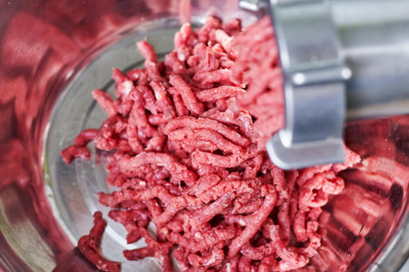 Electric meat grinder. Kitchen tool to mince meat. Meat grinding, preparing food ingredients. Vegan Worst Nightmareの写真素材
