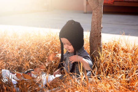 Autumn portrait of 2-3 years old child in garden. Fall season. Close-up view of cheerful sweet mixed-race baby boy in knitted capの写真素材