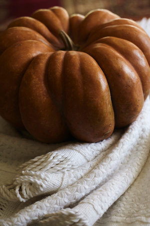 Autumn background with pumpkin on the white tablecloth. Cozy fallの写真素材