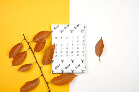 Monthly October calendar on bright colorful background. October paper calendar