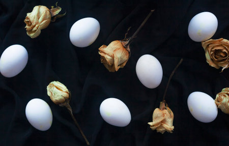 White eggs with dry roses on dark fabric backgroundの写真素材