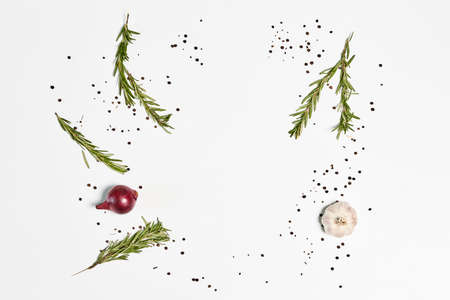Fresh rosemary on white background. Twig of rosemary on a white with copy spaceの写真素材