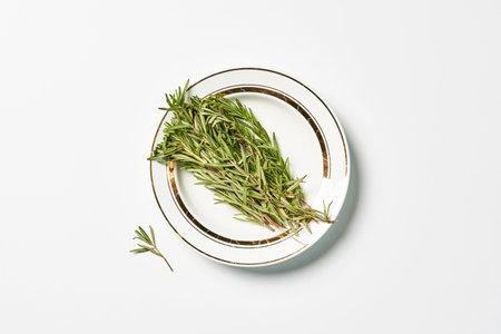 Fresh rosemary on white background. Twig of rosemary on a white with copy spaceの写真素材