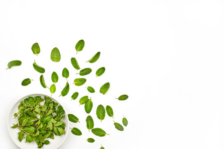 Fresh mint leaves on white background with copy space