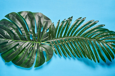 Exotic tropical leaves on colorful background. Summer background. Creative summer backdrop with palm...