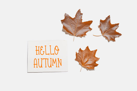 Hello autumn concepts with fall leaves and greeting card on white background