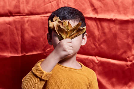 A little boy covering his face with a pile of fall leaves. A young boy holds autumn leavesの写真素材