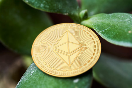 Investing money in cryptocurrency. Green homeplant in the pot and golden Ethereum on it. Symbol of...