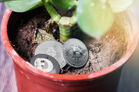 Investing money in cryptocurrency. Green home plant in pot and Bitcoin, Ethereum and Dogecoins....