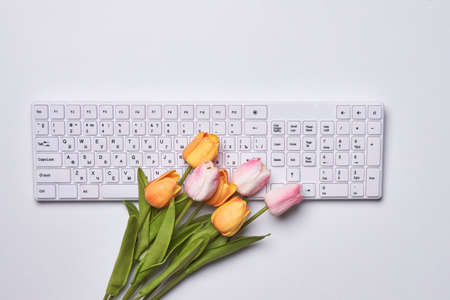 Happy easter time. Bright Easter holiday concept with spring flowers and easter eggs. Colorful Easter eggs backgroundの写真素材