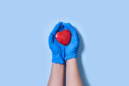 Doctor hands holding heart, donation and implantation, medic saving life in blue backgraundの写真素材