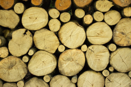 Firewood. Logs neatly stacked