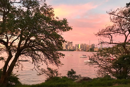 Sydney Harbour view from Cremorne Reserveの写真素材
