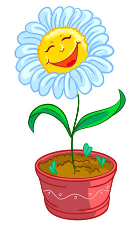 Chamomile in potのイラスト素材