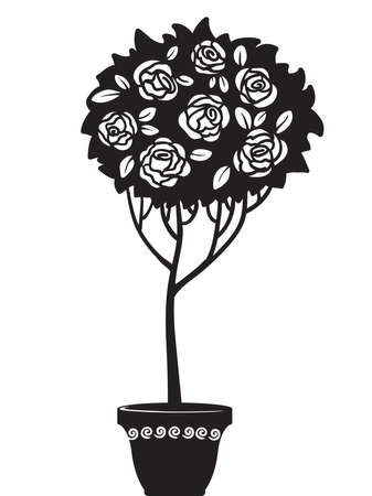 Silhouette of rosebush in a potのイラスト素材
