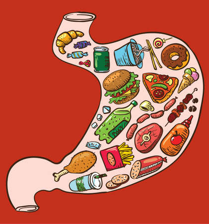 Stomach full of fast foodのイラスト素材