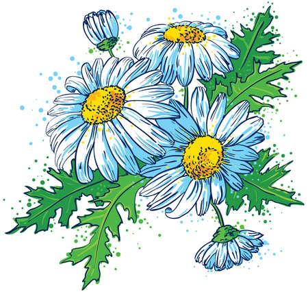 Bouquet of Daisiesのイラスト素材