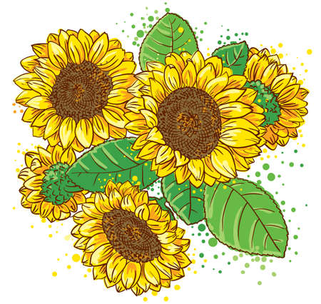 Bouquet of Sunflowersのイラスト素材