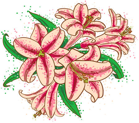 A bouquet of liliesのイラスト素材