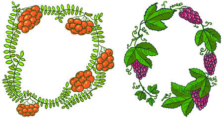 Doodle cute frames with rowan and grapeのイラスト素材