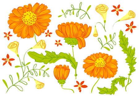 Floral abstract setのイラスト素材