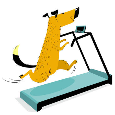 Fast running dog on treadmill. Cute racing pet. Cartoon training dog in the gym. Vector isolaterd illustration with sporty animalのイラスト素材