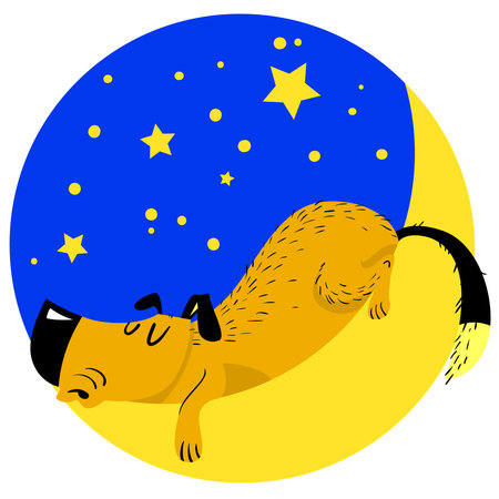 Sleeping dog. Tired pet asleep on the moon. Vector cartoon illustration with cute dog with star backgroundのイラスト素材