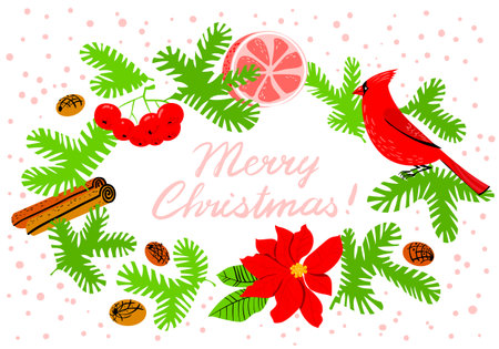 Christmas wreath with poinsettia red flower. Winter floral background with cardinal bird, grapefuit, canella, pine tree and rowan  branches. Seasonal design for tags, backdrops, placards, cards. Merry Christmas letteringのイラスト素材