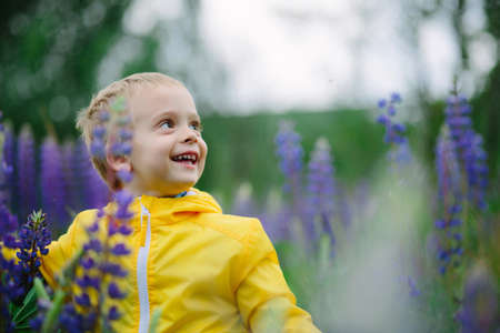 Portrait of handsome smiling and happy boy, lupine, summer, in backgrounds green grass.の写真素材