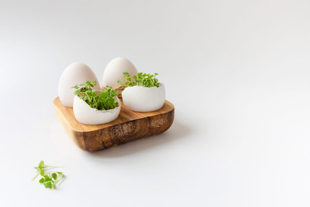 Green sprouts in white egg in wooden egg box on white background. Selective focus, copy space. Eco...