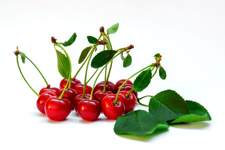 red ripe cherry with twigs and leaves on a white background