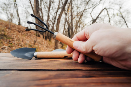 close-up of a person's hand holding a garden rake with a wooden handle, next to a trowel on a wooden table, against a blurred backdrop of autumn trees and dry grass, symbolizing seasonal workの写真素材