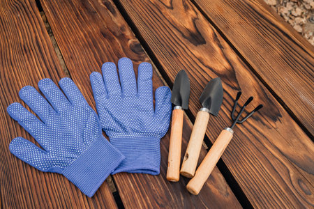 two blue work gloves, two trowels, and a rake with wooden handles, neatly arranged on a dark brown wooden surface, outdoorsの写真素材