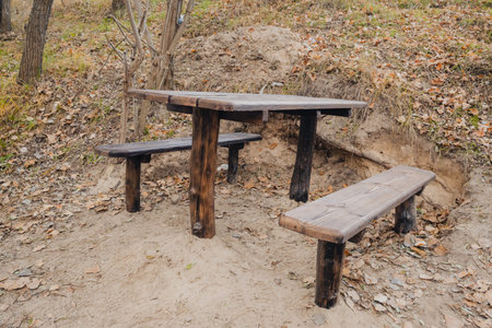 a picnic area in the wild, a wooden table and two benches in an autumn forest covered with dry...