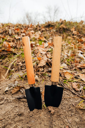 two small garden trowels with identical wooden handles and black metal bases are stuck into the brown, dry soil among withered grass and fallen autumn leaves, symbolizing the close of the seasonの写真素材