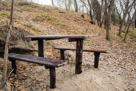 a detailed image of a rest area in nature, a wooden table and two benches in an autumn forest...