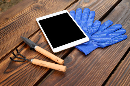 blue work gloves, a white tablet with a clean screen, and a set of small gardening tools are lying...