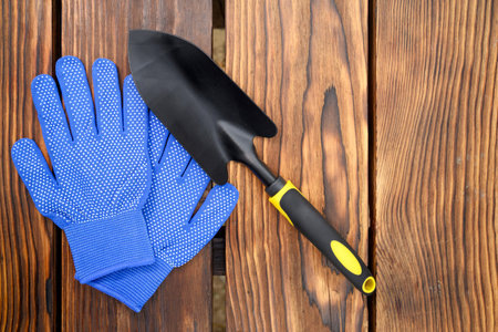 a bright blue work glove with rubber dots and a small gardening trowel with a black scoop and yellow handle are lying on a textured wooden surface top viewの写真素材